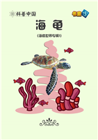 海龟